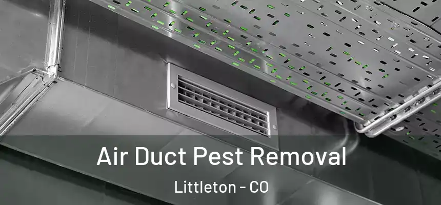  Air Duct Pest Removal Littleton - CO