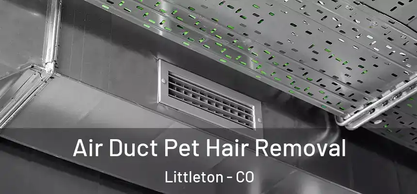  Air Duct Pet Hair Removal Littleton - CO