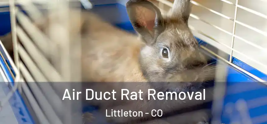  Air Duct Rat Removal Littleton - CO