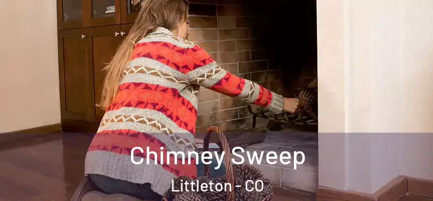  Chimney Sweep Littleton - CO
