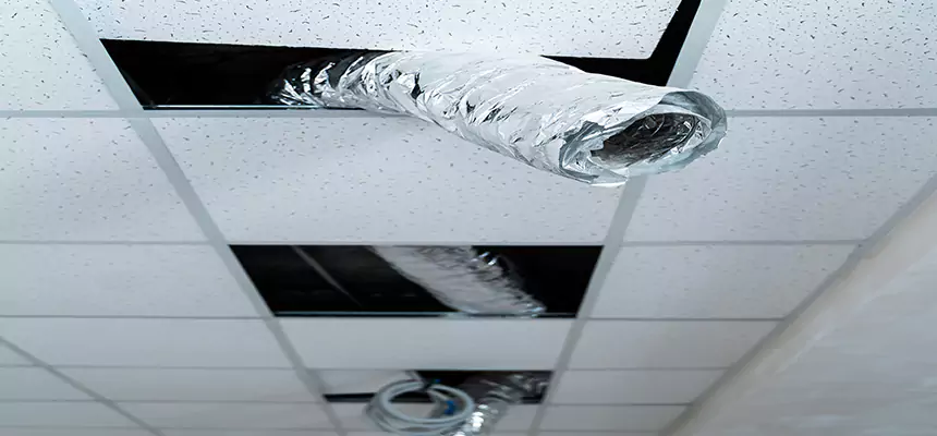 Our Air Duct Pet Hair Removal Services in Littleton, CO