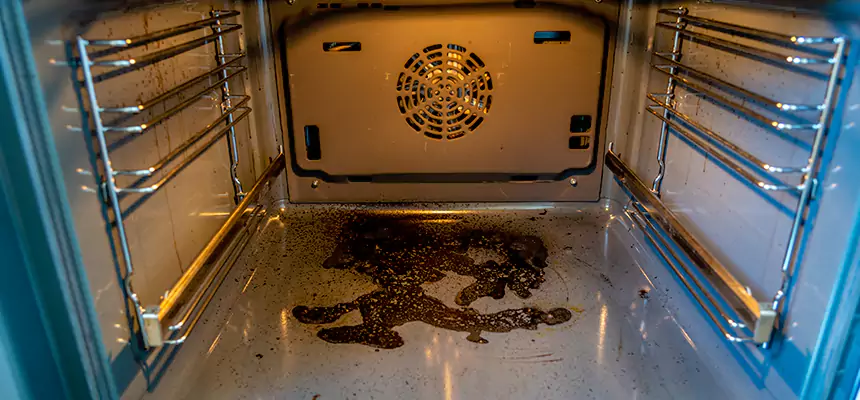 Our Dryer Vent Mold Cleaning Services in Littleton, CO