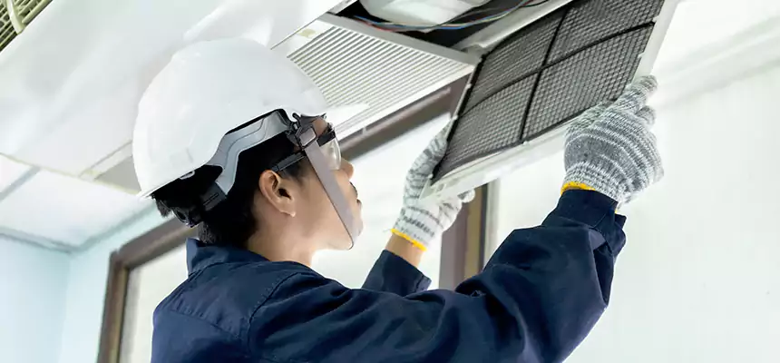 Our Mold & Mildew Removal from Air Ducts Services in Littleton, CO