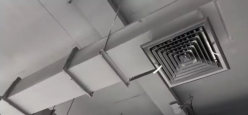 Our Rodent Droppings In Vents Services in Littleton, CO