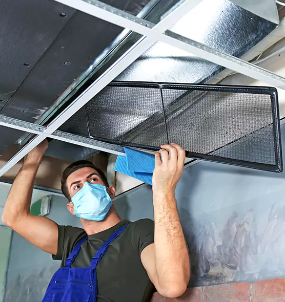 About Air Duct Bacteria Removal in Littleton