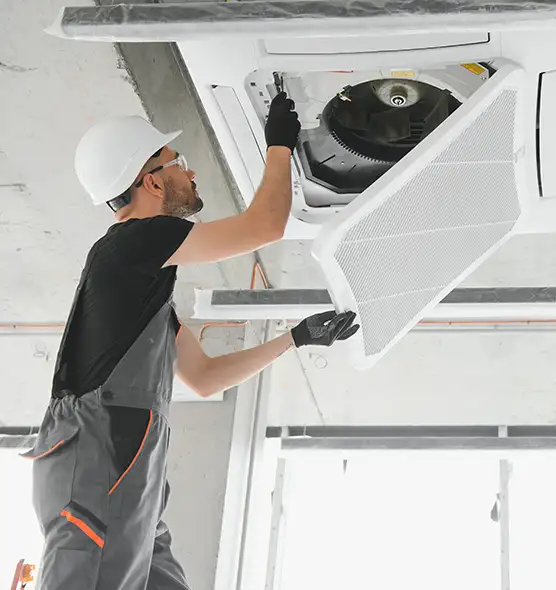 About Air Duct Rodent Removal in Littleton, CO