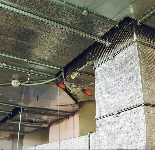 Why Homeowners & Businesses Trust Us in Littleton, CO?