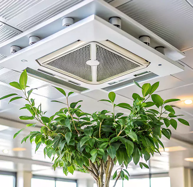 Why Homeowners & Businesses Trust Us in Littleton, CO