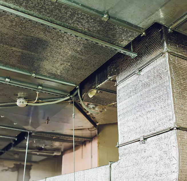 Why Homeowners & Businesses Trust Us in Littleton, CO?